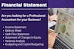 prepare financial statement, balance sheet, profit and loss and cash flows