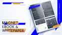 write a professional lead magnet ebook and corporate whitepaper