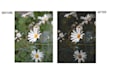 do photo editing in lightroom