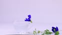 create professional stop motion animation video