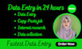 do data collection, pdf conversion, fastest data entry in 24 hours in one day