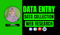 do data entry, data collection and web research