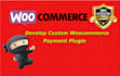 develop custom woocommerce payment plugin