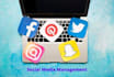 be your social media manager, content creator and advertiser