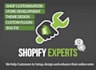 fix any shopify stores bug issue or do theme customisations