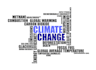 write articles and blog post on environmental issues