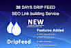submit 30 days drip feed  service