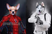 create custom super hero pet portrait