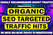 boost google, bring targeted web traffic from USA, europe