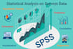 do statistical analysis of survey data and market research