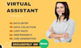 be your virtual assistant