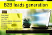 b2b lead generation and targeted lead generation