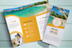 do professional tri fold brochure, flyer, catalog design