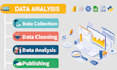 provide expert data analysis services for informed insights