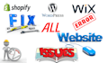fix all website issue