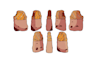 create a 2d animated gif