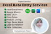 do fastest excel data entry and web research