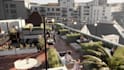 design and render exceptional modern rooftop landscape