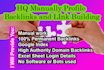 do manually HQ profile backlinks and link building for SEO