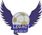 do logo embroidery digitizing in dst,pes,jef,vp3 in 1 hour