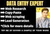 expertly handle all types of data entry and web research