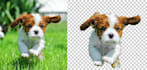 remove background from image transparent photo