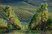 write about any wine region in the world you would like