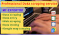 do data entry, data scraping, web scraping, and data mining