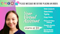 be your virtual assistant for data entry and web research