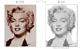 create a halftone dots art from any photo