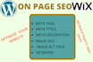 write and optimize meta title description and image alt tags