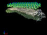 process drone uav images to generate points cloud