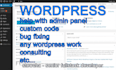 help you with a wordpress