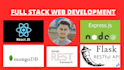 do python django or flask web development and make rest api