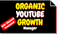 be your youtube channel manager, set up ads, and do video SEO