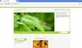 develop your web application