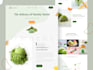 do responsive food and fintech website  landing page in figma adobe xd