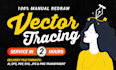 redraw logo to vector, convert image to vector, transparent png