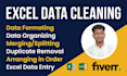 be your virtual assistant for excel data entry, copy paste, excel formula