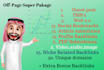 rank your website with daily basis high quality backlinks, link building service