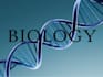 make presentations related to life sciences