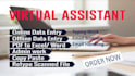 be your virtual assistant for data entry, typing, copy paste