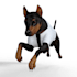 make clothes virtual pets such daz dog eight