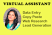 be your virtual assistant for data entry, copy paste,