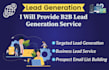 provide b2b lead generation and data entry