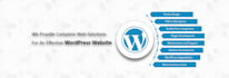 develop custom wordpress plugin
