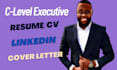 write ceo, svp, vp, cto, cfo, director, executive resume and cover letter