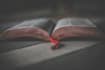 be your beta reader, critique and will provide feedback