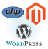 do websites development and customization