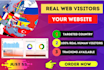 send amazing USA web visitors, organic web traffic for low bounce